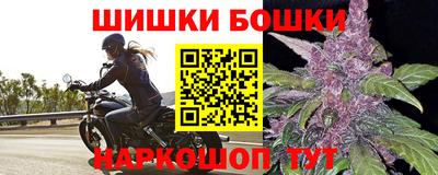 индика Жуковский