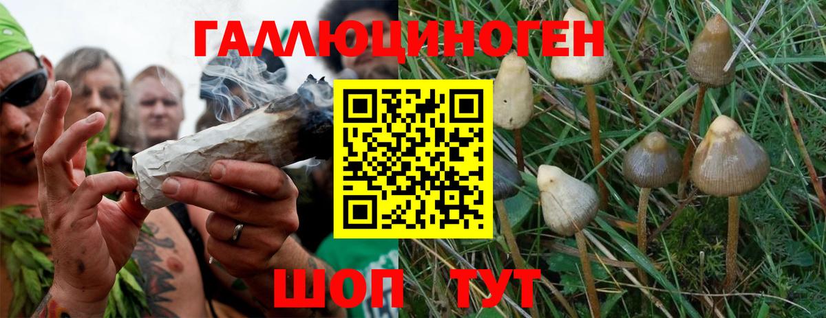 Псилоцибиновые грибы Psilocybine cubensis  Галлюциногенные грибы Psilocybe  Мариинск  Вход с VPN 